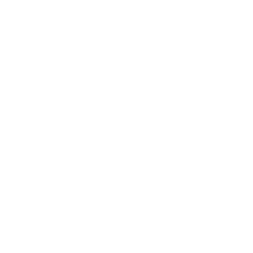 Electronic Dossier